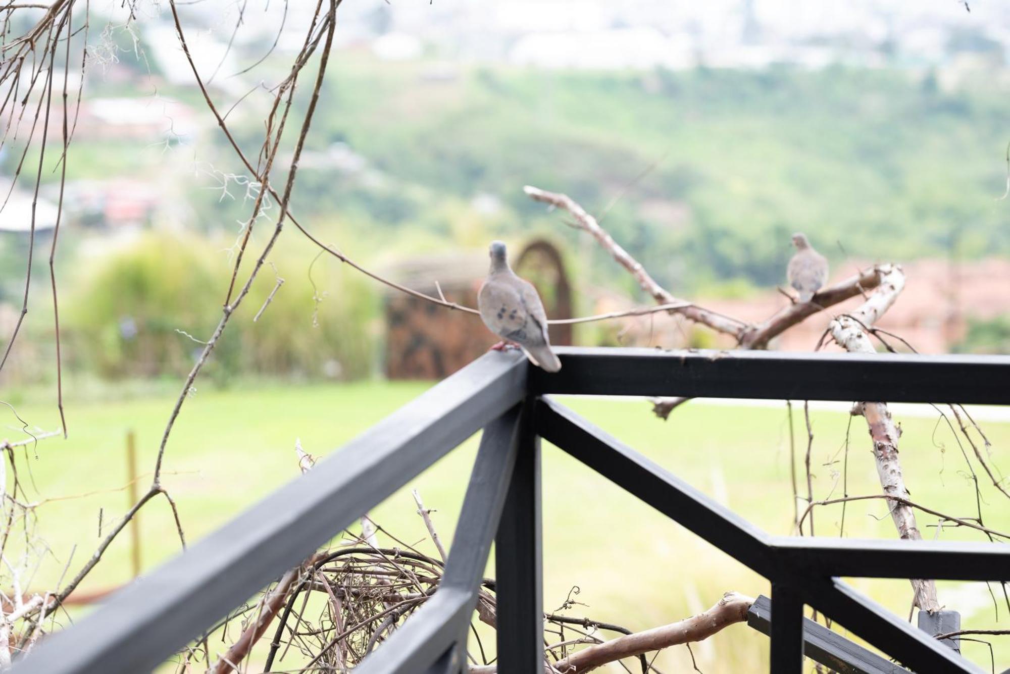 Dosquebradas Hotel Pachamama Campestre מראה חיצוני תמונה